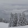 20140216_398